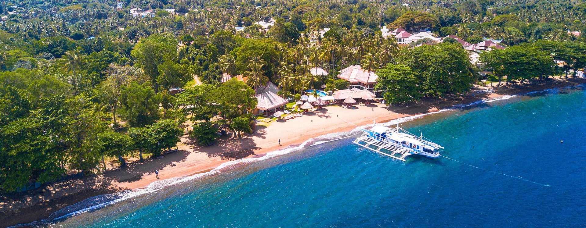 pura vida dive resort philippines